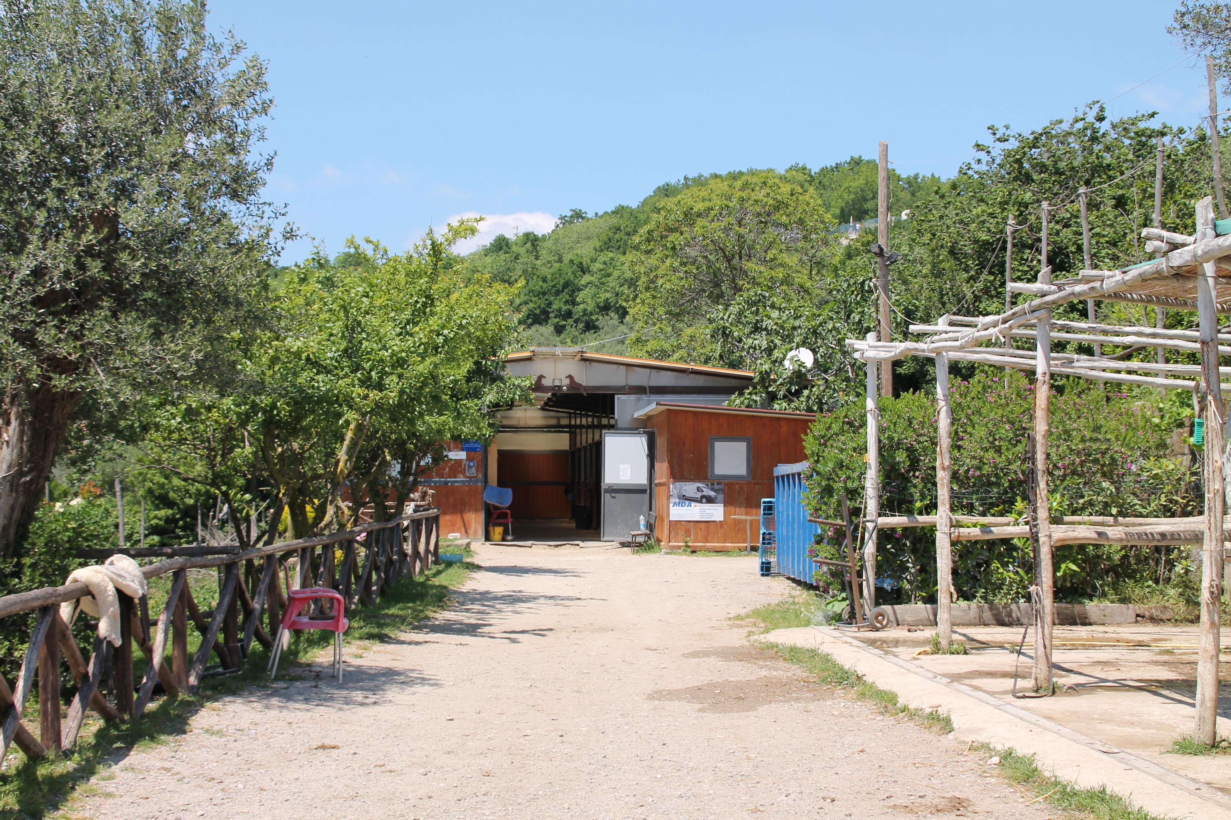 Agriturismo Piccolo Paradiso Piano di Sorrento Ngoại thất bức ảnh