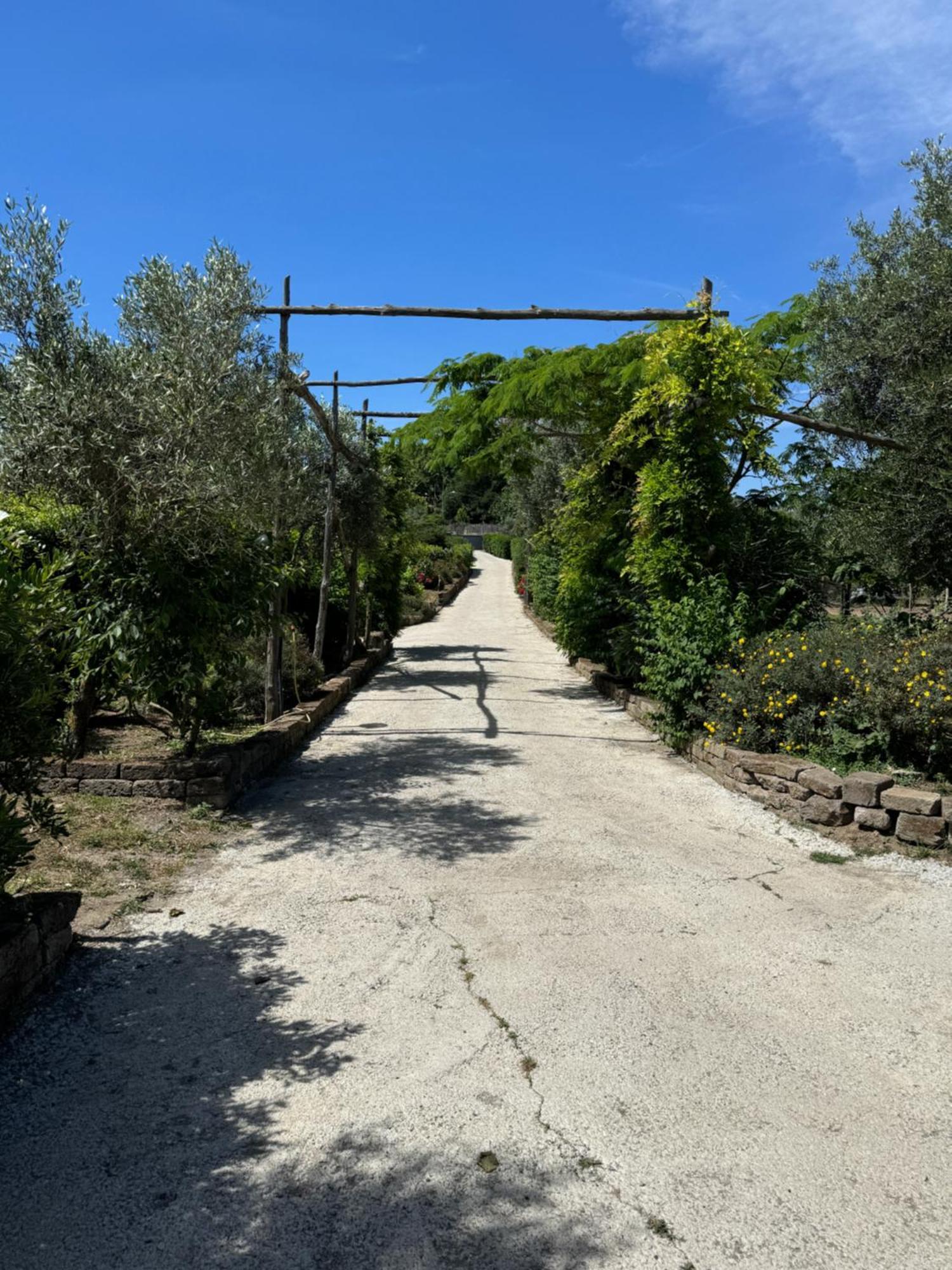 Agriturismo Piccolo Paradiso Piano di Sorrento Ngoại thất bức ảnh