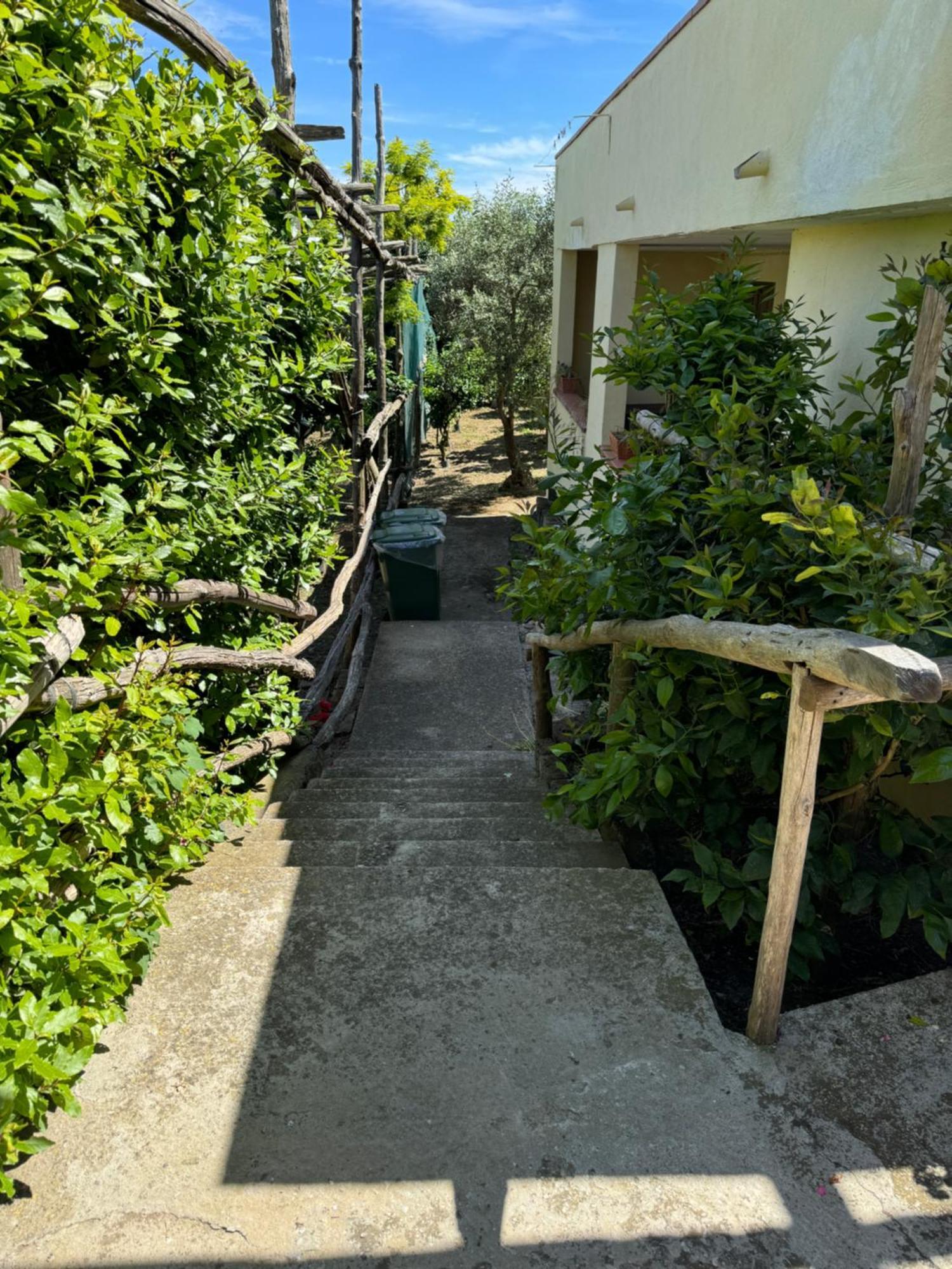 Agriturismo Piccolo Paradiso Piano di Sorrento Ngoại thất bức ảnh
