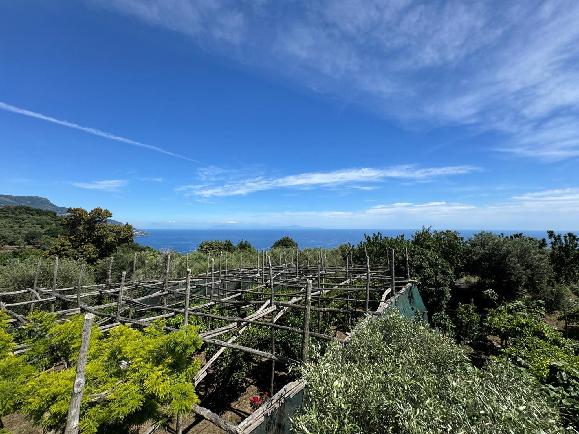 Agriturismo Piccolo Paradiso Piano di Sorrento Ngoại thất bức ảnh