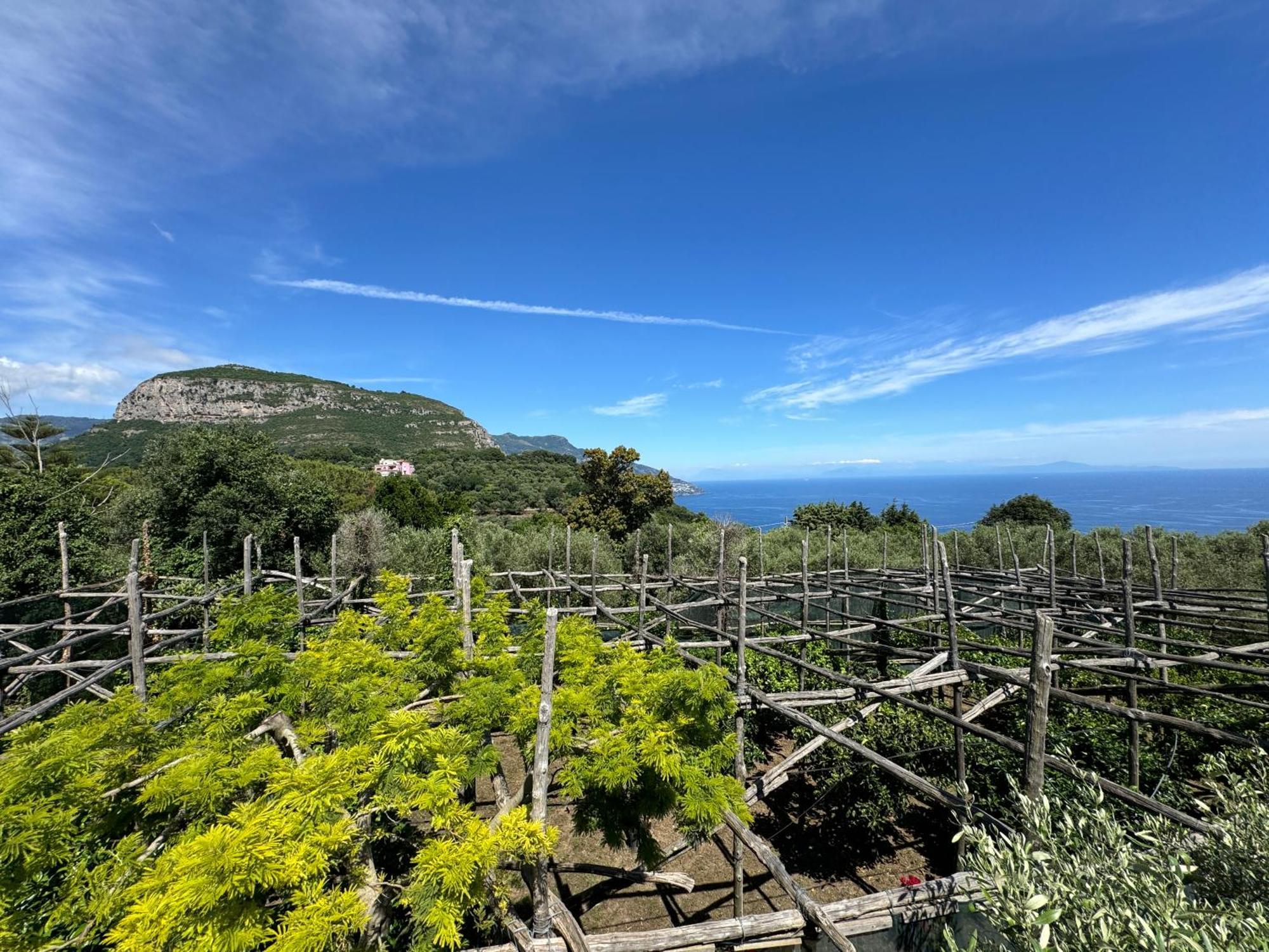 Agriturismo Piccolo Paradiso Piano di Sorrento Ngoại thất bức ảnh