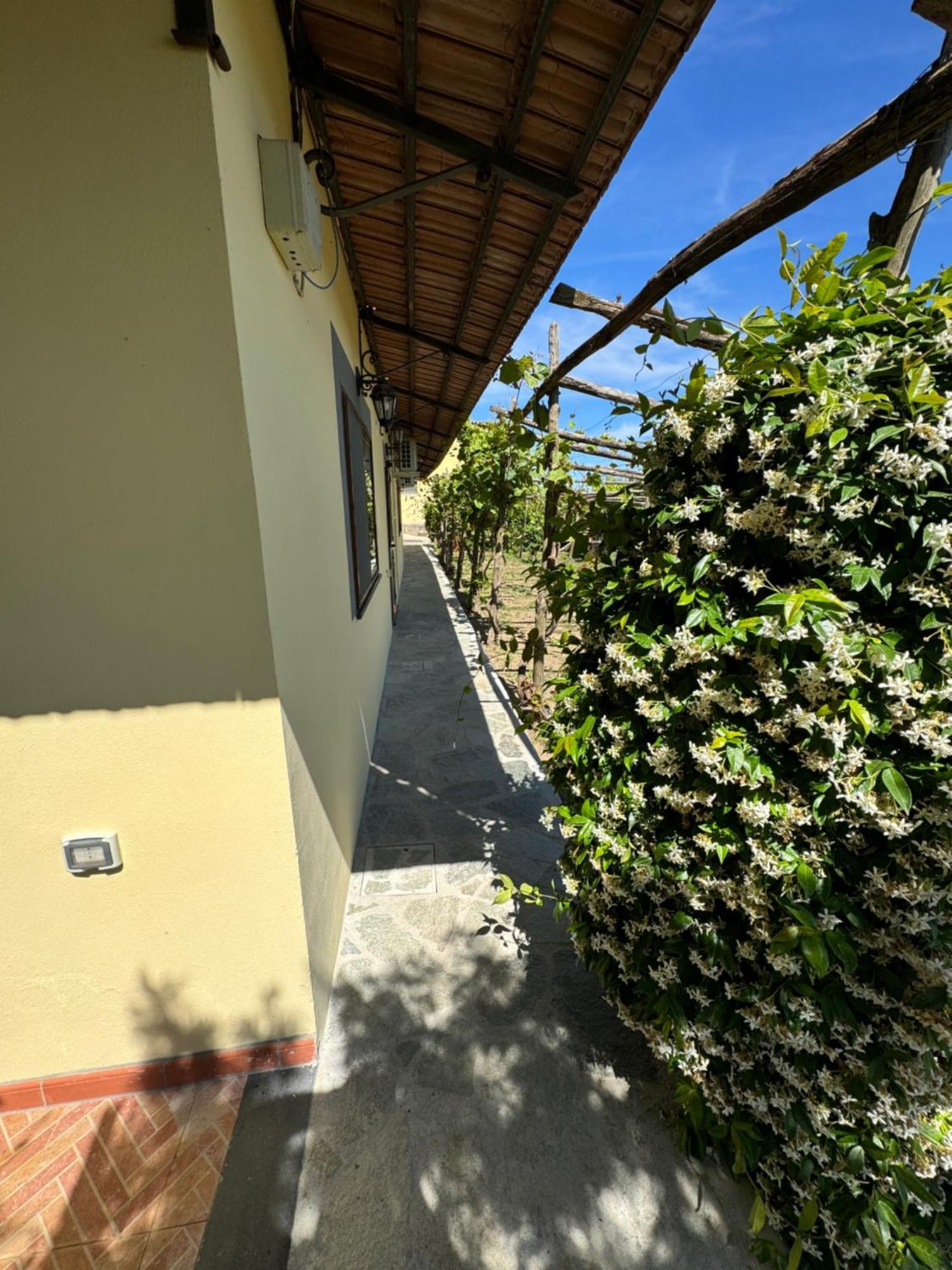 Agriturismo Piccolo Paradiso Piano di Sorrento Ngoại thất bức ảnh