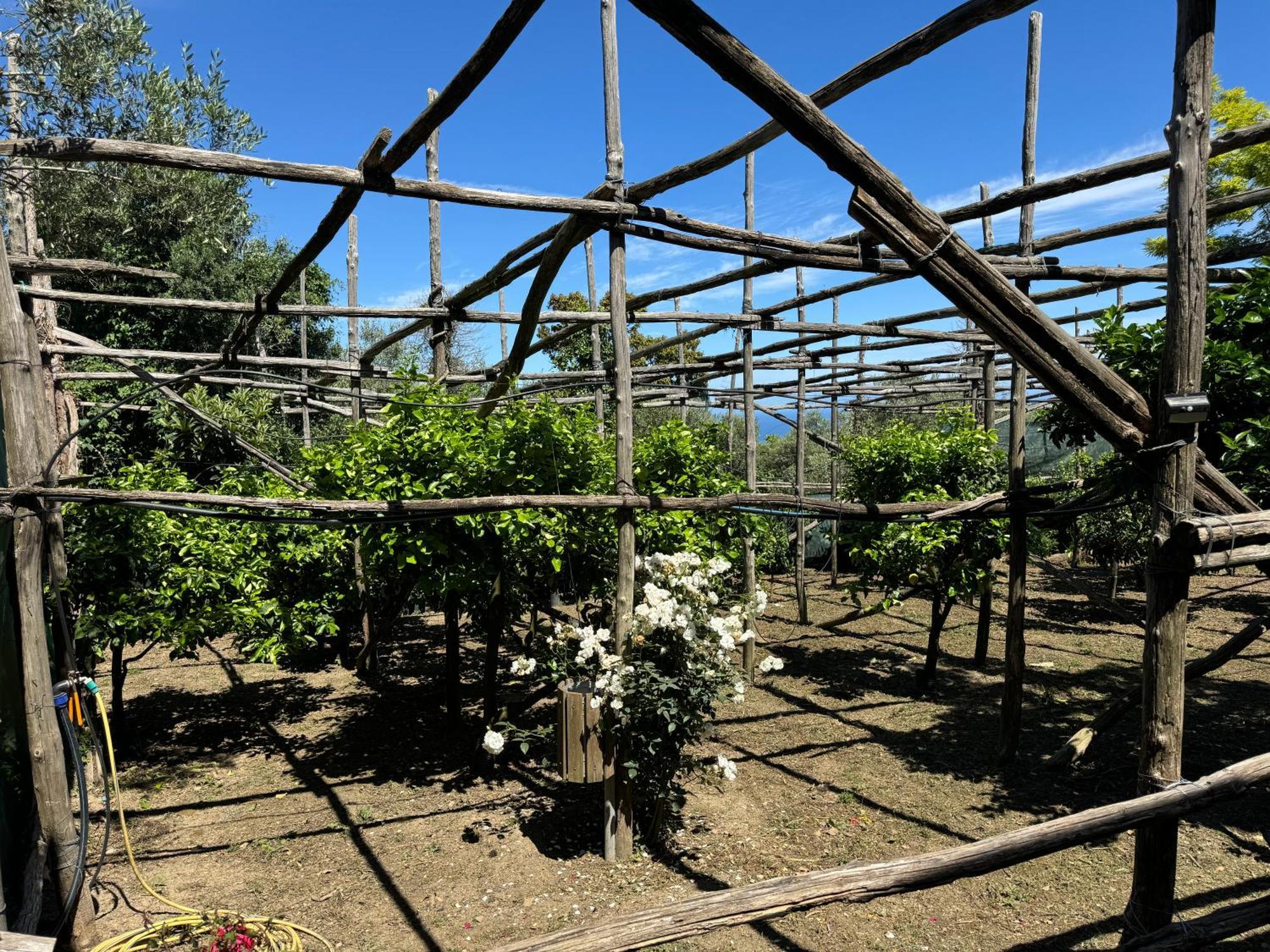 Agriturismo Piccolo Paradiso Piano di Sorrento Ngoại thất bức ảnh