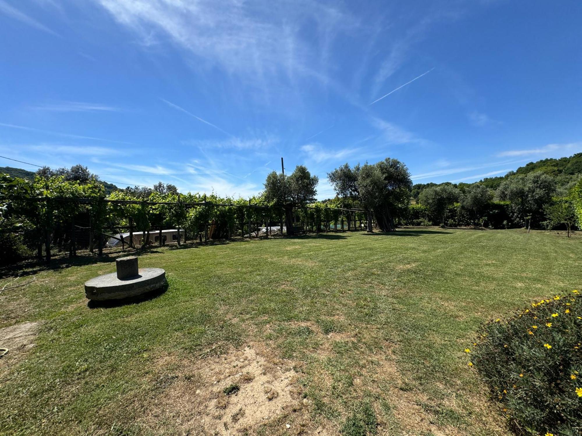 Agriturismo Piccolo Paradiso Piano di Sorrento Ngoại thất bức ảnh