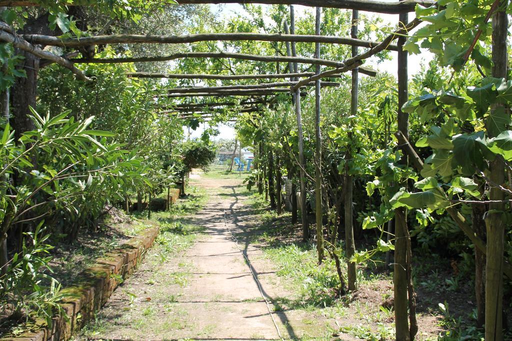 Agriturismo Piccolo Paradiso Piano di Sorrento Ngoại thất bức ảnh