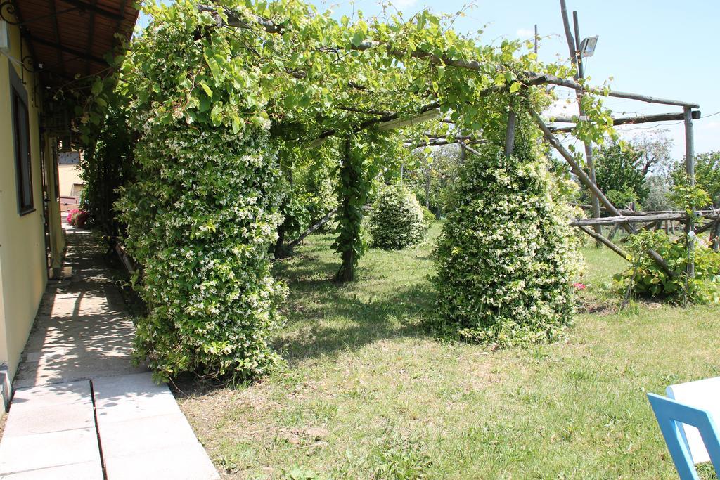 Agriturismo Piccolo Paradiso Piano di Sorrento Ngoại thất bức ảnh