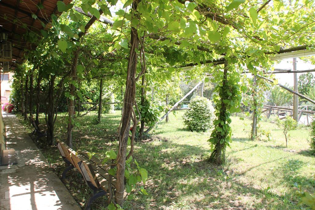 Agriturismo Piccolo Paradiso Piano di Sorrento Ngoại thất bức ảnh