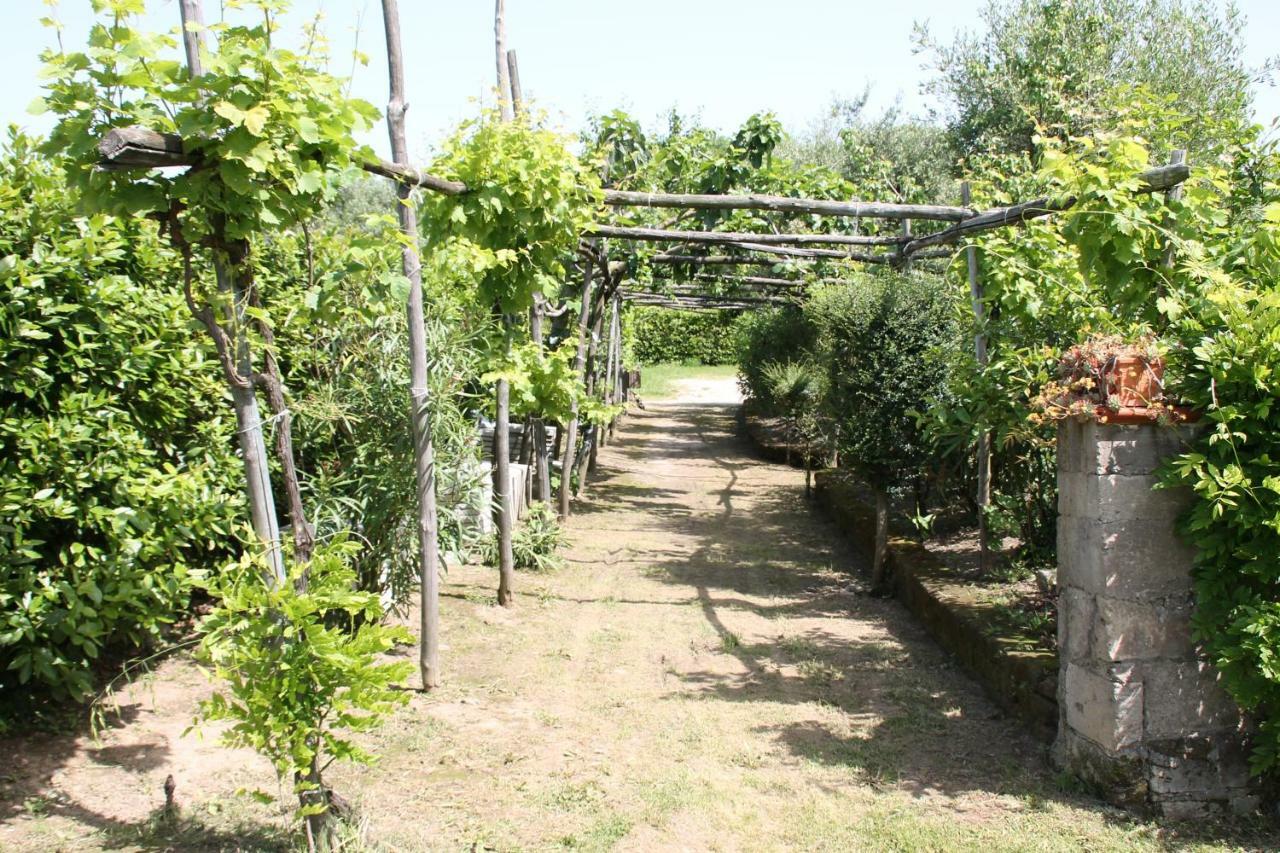 Agriturismo Piccolo Paradiso Piano di Sorrento Ngoại thất bức ảnh